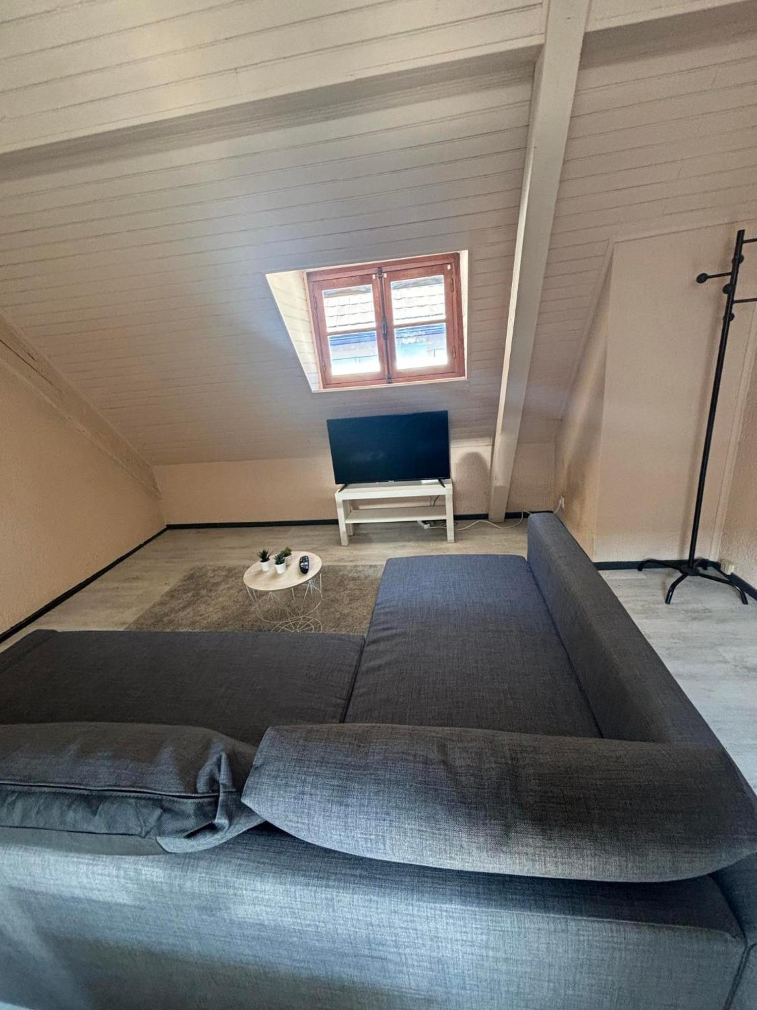 Le Merveilleux Apartman Soultz-Haut-Rhin Kültér fotó